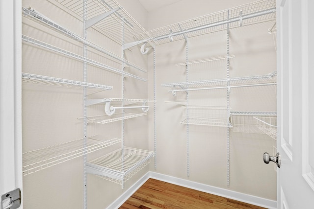 walk in closet featuring hardwood / wood-style flooring