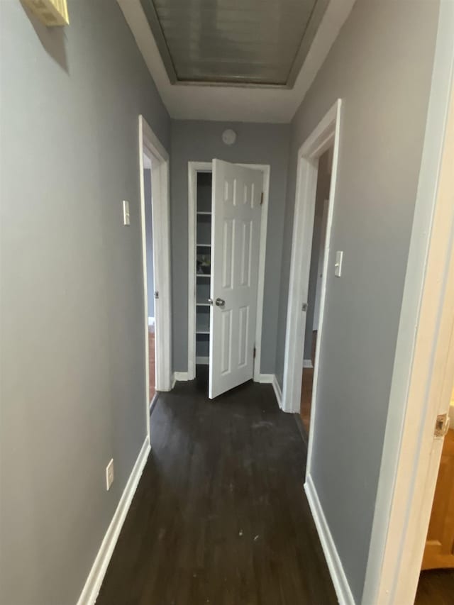 hallway with dark hardwood / wood-style floors