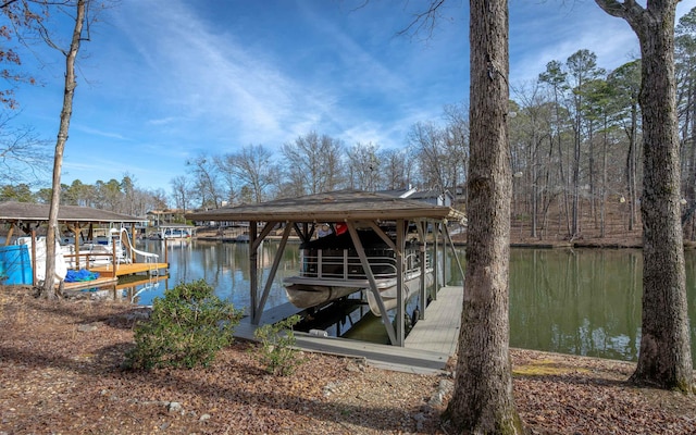 dock area with a water view