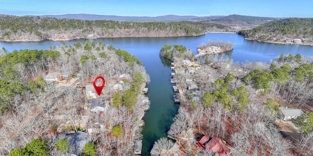 birds eye view of property featuring a water and mountain view