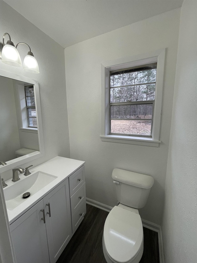 bathroom featuring vanity, toilet, and wood-type flooring