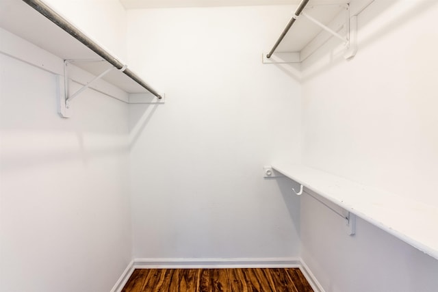 walk in closet featuring dark hardwood / wood-style floors