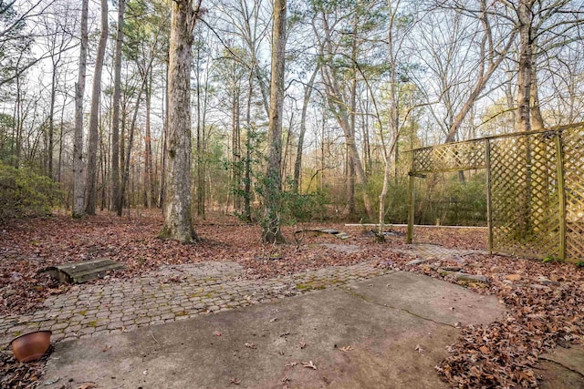 view of yard with a patio area