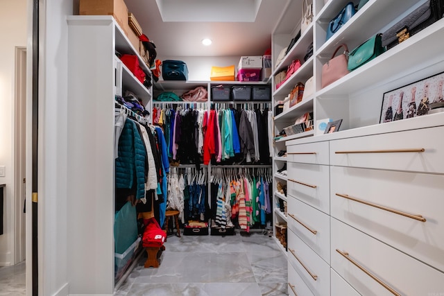 view of spacious closet