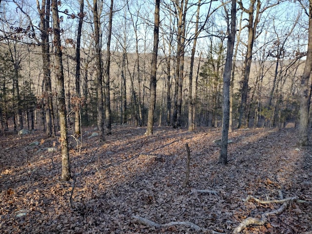 view of landscape