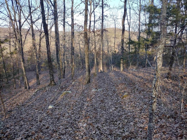 view of landscape