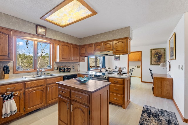 kitchen with sink, tasteful backsplash, dishwashing machine, a kitchen island, and electric stove