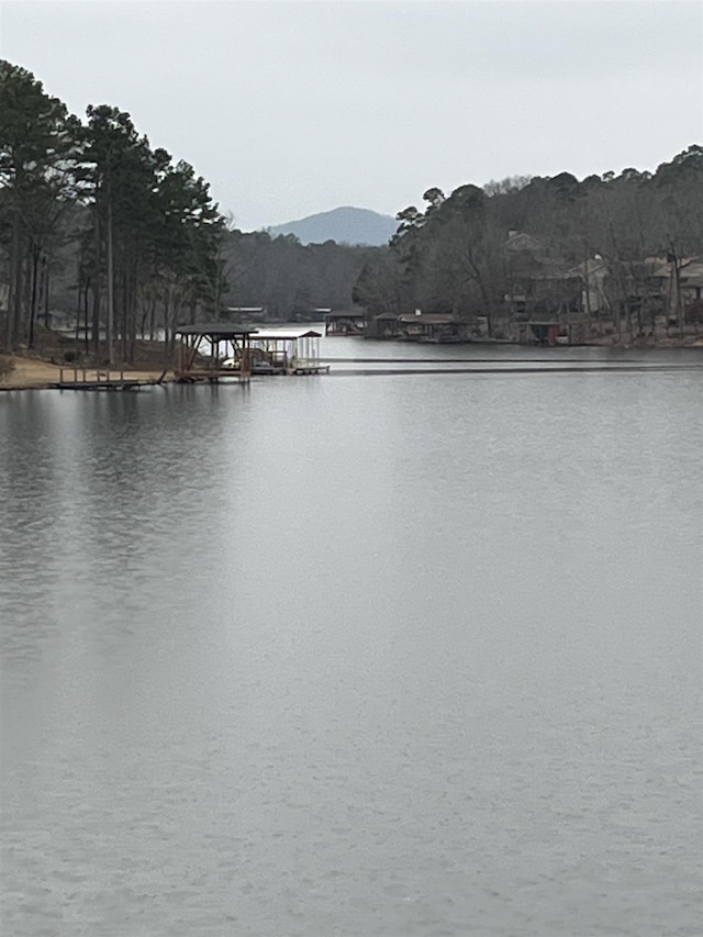 property view of water with a mountain view