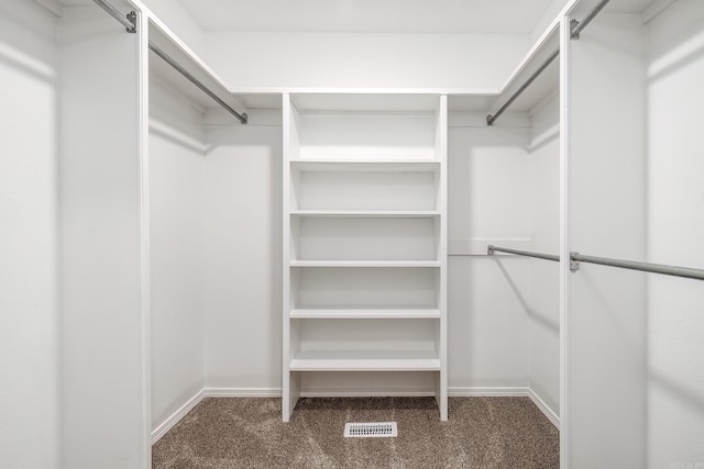 spacious closet with carpet