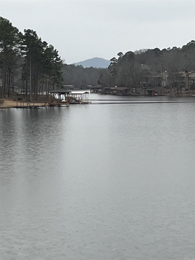 water view featuring a mountain view