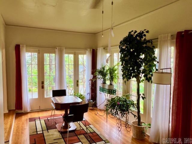 interior space featuring plenty of natural light and light hardwood / wood-style floors