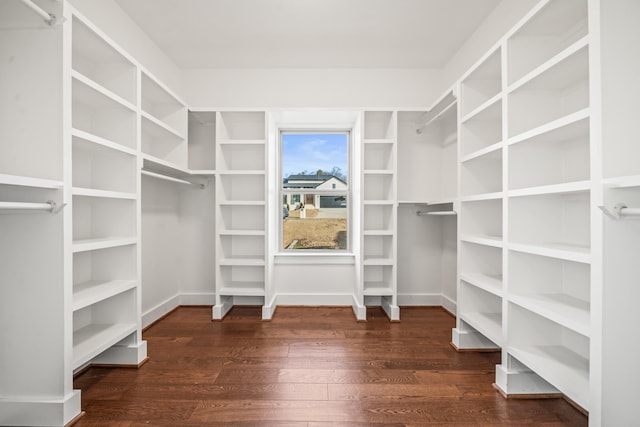 walk in closet featuring dark hardwood / wood-style floors