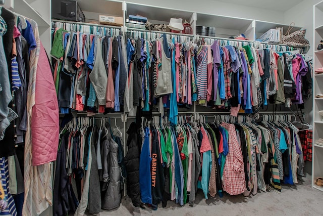 spacious closet with carpet