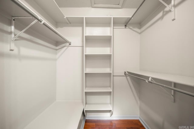 walk in closet with hardwood / wood-style floors