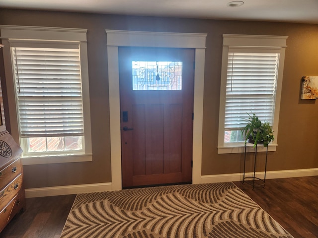 foyer with dark wood-type flooring and plenty of natural light