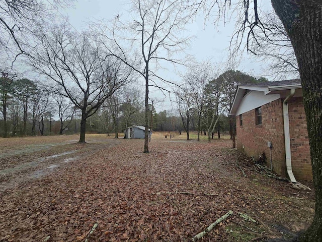 view of yard with a storage unit