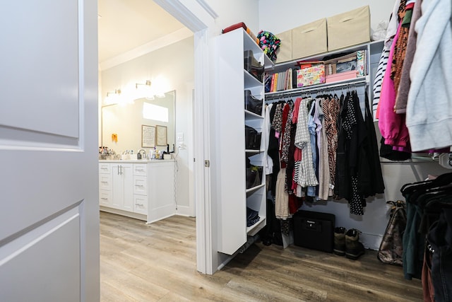 spacious closet with light hardwood / wood-style floors