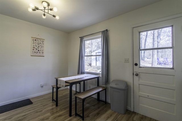 dining space featuring dark hardwood / wood-style flooring