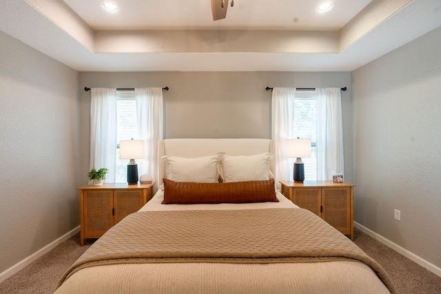 bedroom with a raised ceiling and carpet floors