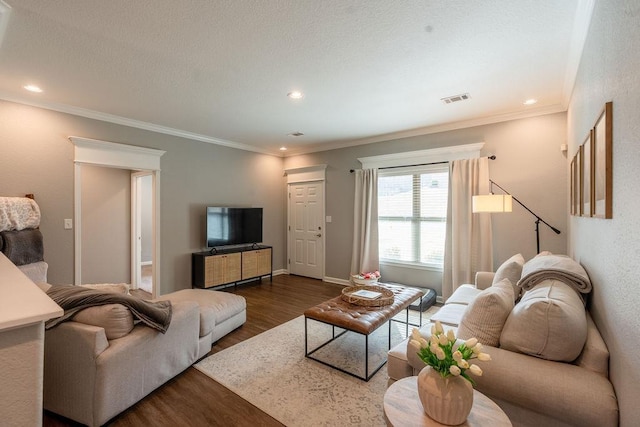 living room featuring crown molding and dark wood-type flooring