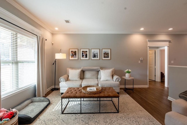 living room featuring a healthy amount of sunlight, dark hardwood / wood-style floors, and ornamental molding