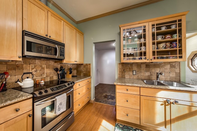 kitchen with light stone counters, stainless steel appliances, light hardwood / wood-style floors, and sink