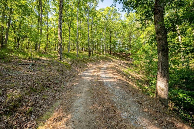 0 Burlingame Rd, Little Rock AR, 72223 land for sale