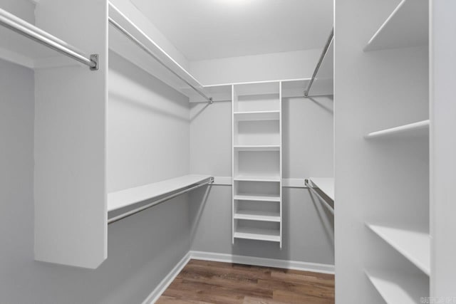 walk in closet featuring dark wood-type flooring