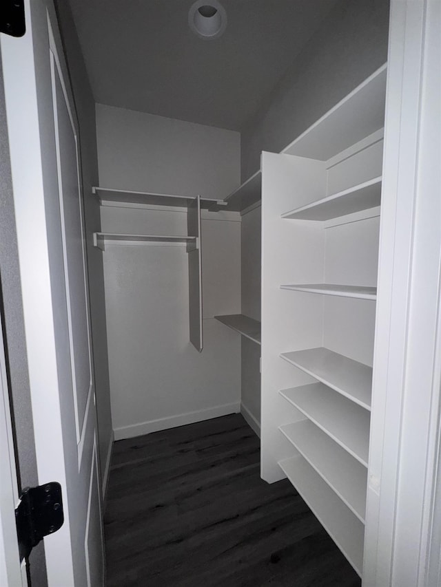 walk in closet with dark wood-style flooring