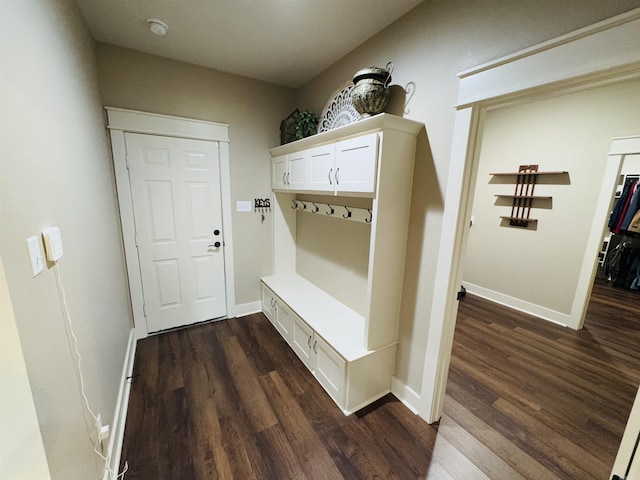 mudroom with dark hardwood / wood-style flooring