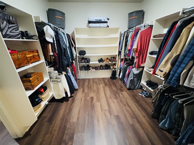 walk in closet with hardwood / wood-style floors