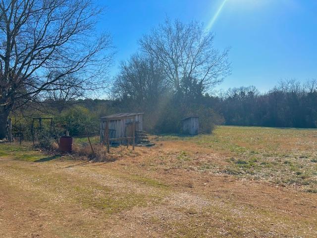 view of yard featuring a storage shed