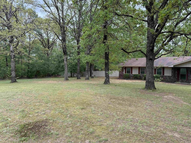 149 Roden Mill Rd, Conway, AR 72032 - view of yard