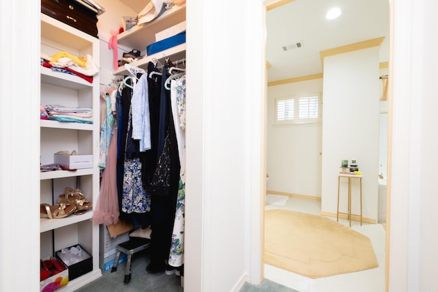 view of walk in closet