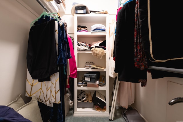 spacious closet featuring carpet flooring