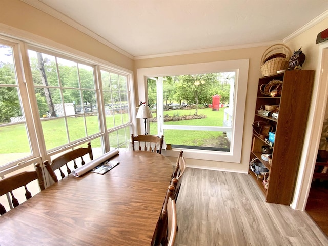 sunroom / solarium featuring a healthy amount of sunlight