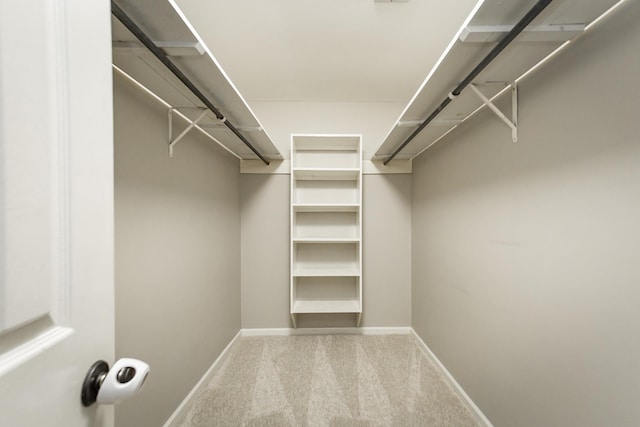 spacious closet with light carpet