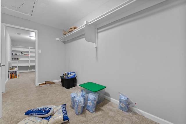 spacious closet with carpet flooring