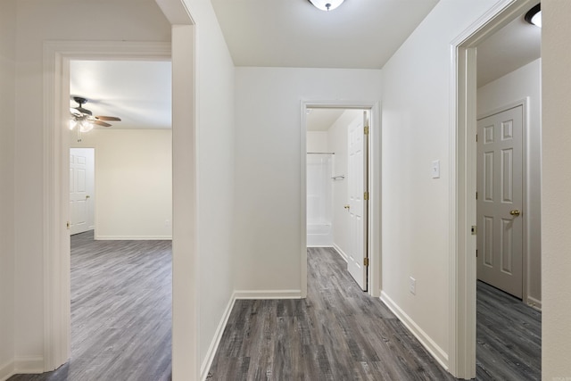 hall featuring dark wood-type flooring