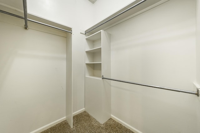 spacious closet with carpet