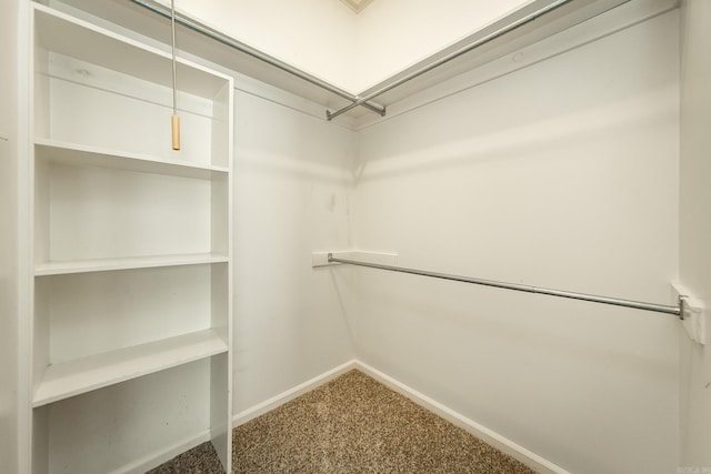 spacious closet with carpet flooring