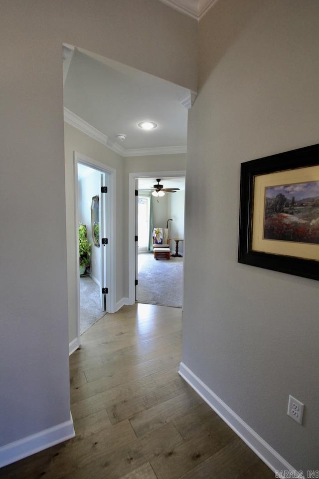 corridor featuring crown molding and wood-type flooring