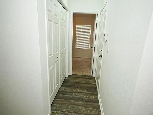 hallway with dark hardwood / wood-style floors