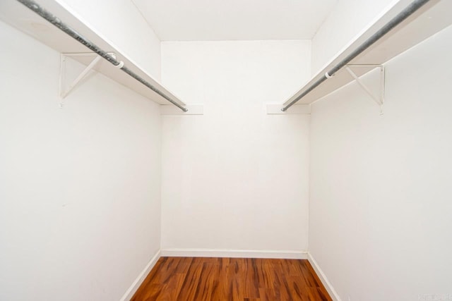 spacious closet featuring wood-type flooring