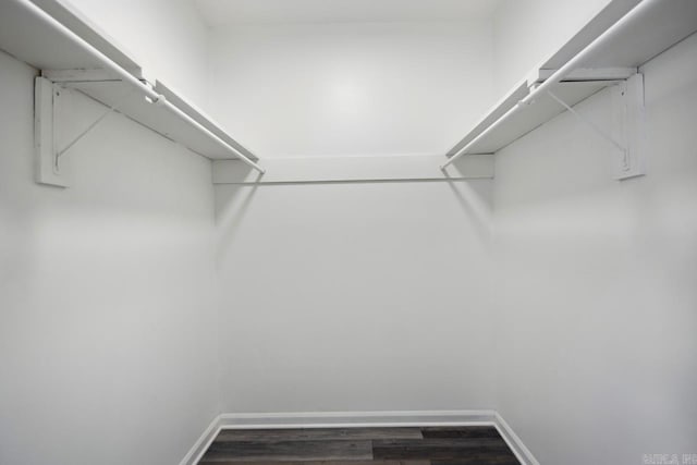 walk in closet featuring dark wood-type flooring