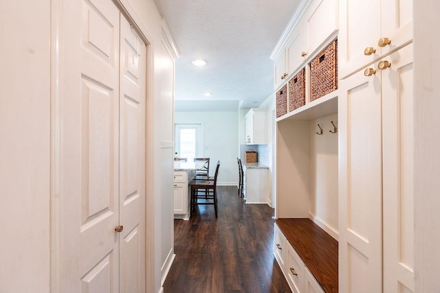 mudroom featuring dark wood-type flooring