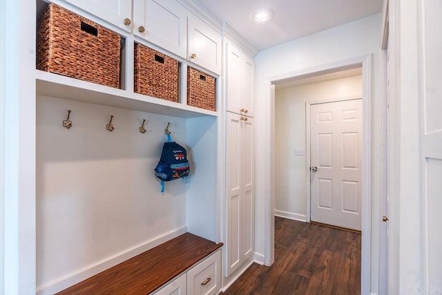 mudroom with dark hardwood / wood-style flooring