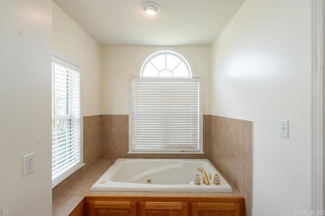 bathroom featuring a tub and a healthy amount of sunlight