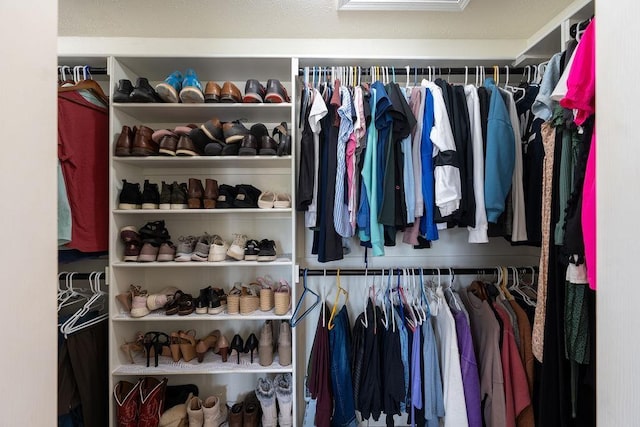 view of walk in closet