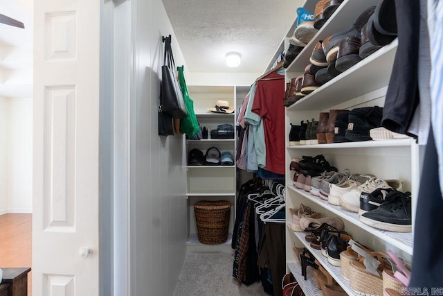 view of spacious closet